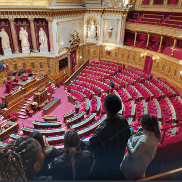 Visite du Sénat – 1STMG3